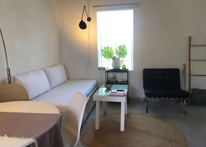 Olive Green House